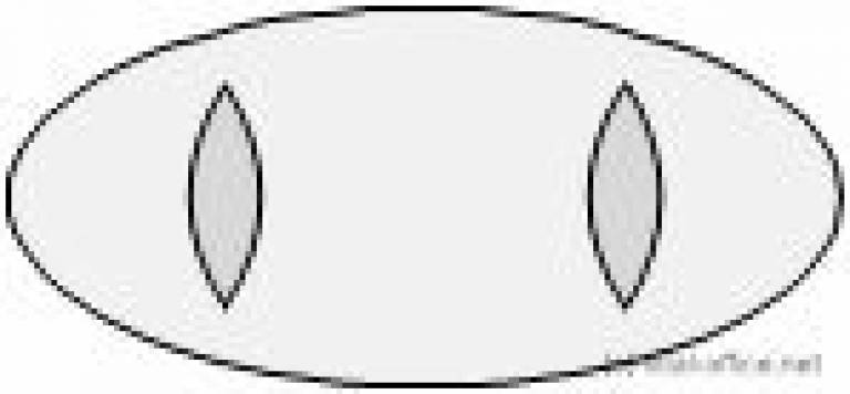 circon s-class - Bestseller: a classic meeting table for the executive