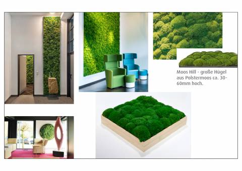 vitAcoustic Acoustic pictures with real moss acoustic cassette with bamboo wood frame and exchangeable highly sound absorbing PET acoustic panels with moss